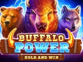 Buffalo Power Hold and Win screenshot